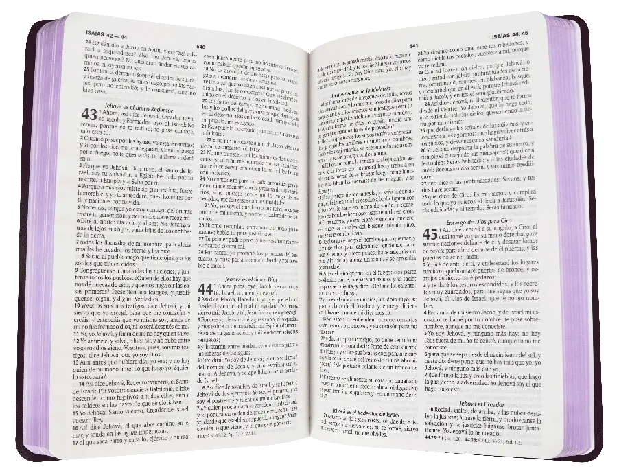 CONTENIDO (14).webp