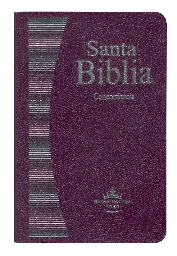 PORTADA (13).webp