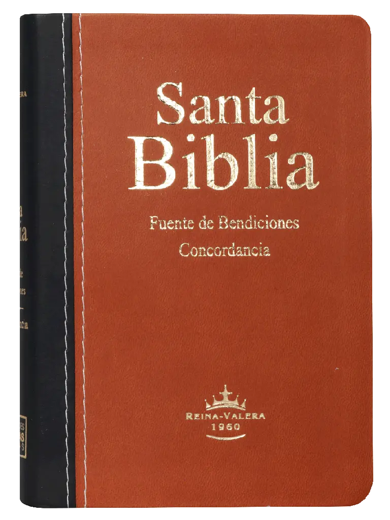 PORTADA (2).webp