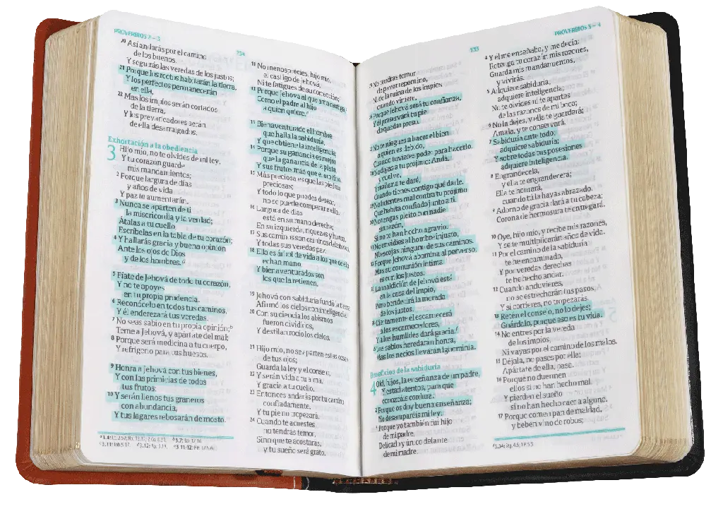 CONTENIDO (2).webp
