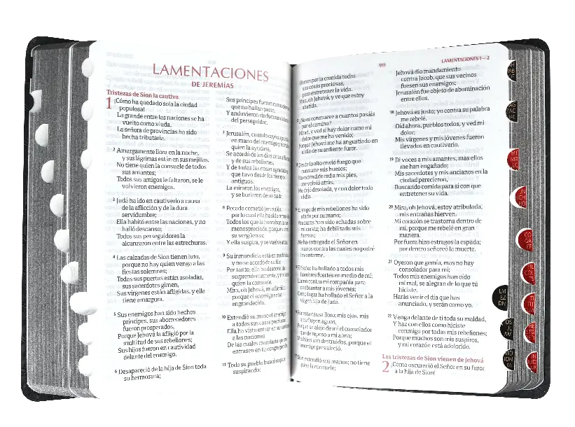CONTENIDO (3).webp