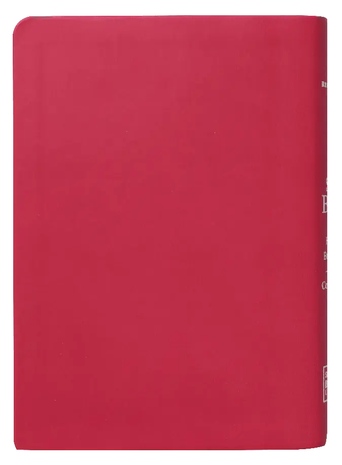 BIBLIA RVR045cLMFBTI ROSA FUENTE DE.webp