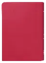 BIBLIA RVR045cLMFBTI ROSA FUENTE DE.webp