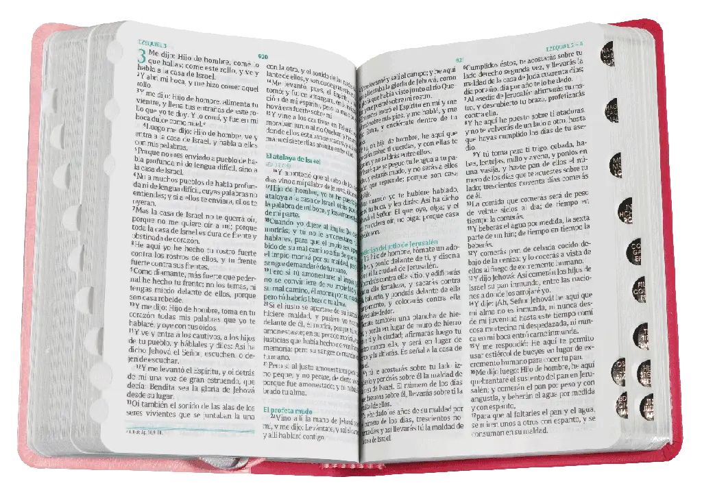 BIBLIA RVR045cLMFBTI ROSA FUENTE DE (1).webp
