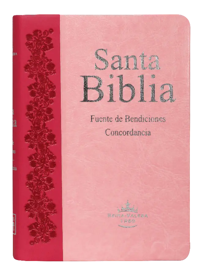 PORTADA (4).webp