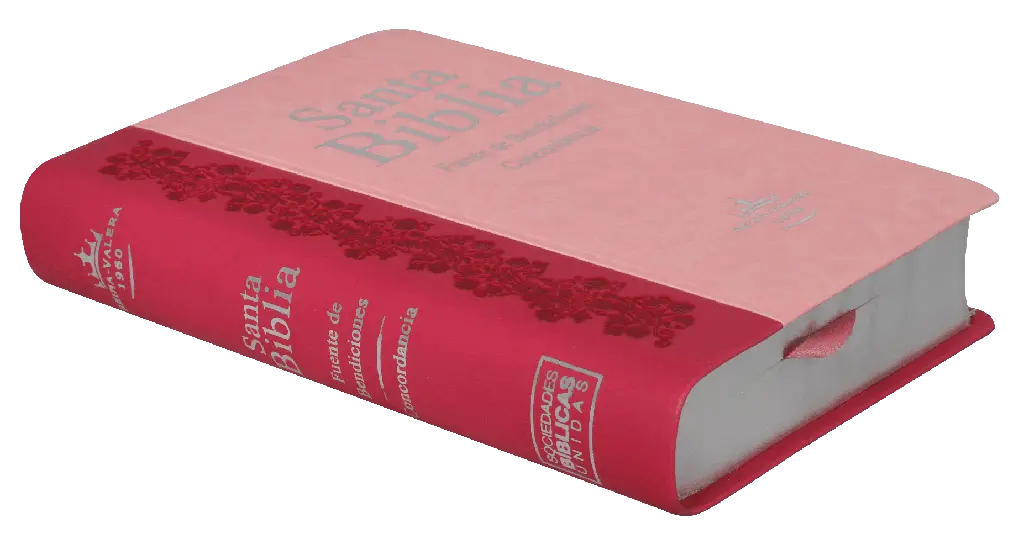 BIBLIA RVR045cLMFBTI ROSA FUENTE DE (2).webp