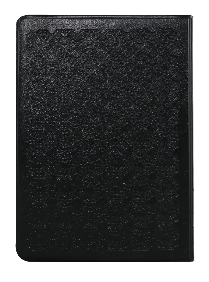 CONTRAPORTADA (4).webp