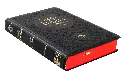 PERFIL (4).webp