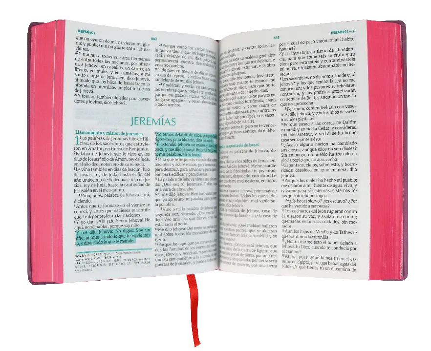 CONTENIDO (4).webp