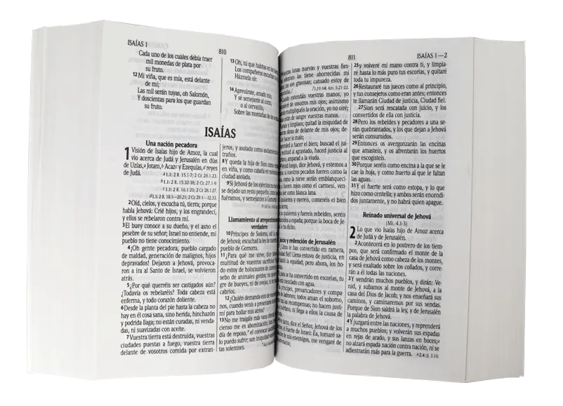 CONTENIDO (9).webp