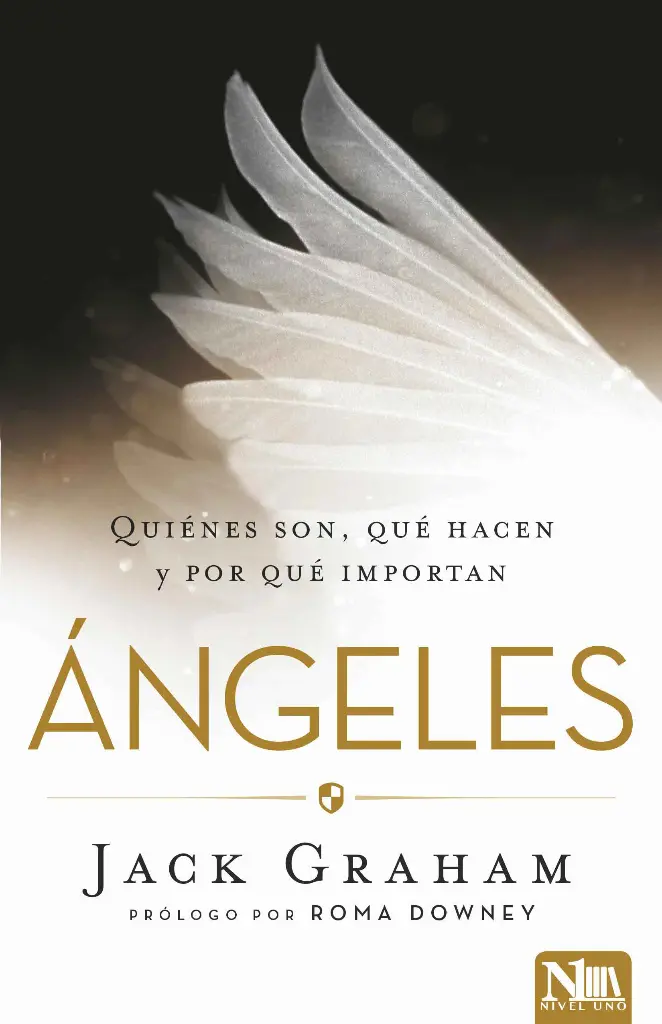 ANGELES: QUIENES SON, QUE HACEN Y POR QUE IMPORTA