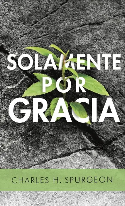 Solamente por gracia - Bolsillo