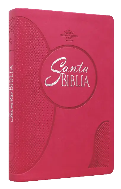Biblia Reina Valera 1960 Mediana Letra Grande Imitación Piel Fiusha [RVR065cLGPJR]