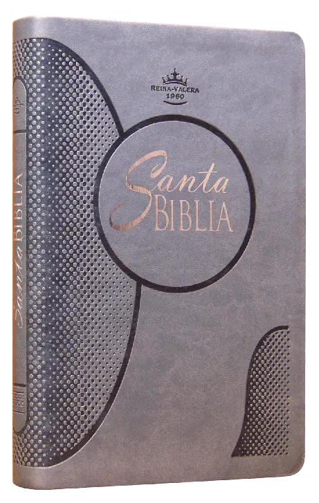 Biblia Reina Valera 1960 Mediana Letra Grande Imitación Piel Gris [RVR065cLGPJR]