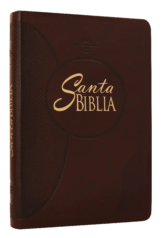 Biblia Reina Valera 1960 Mediana Letra Grande Imitación Piel Café [RVR065cLGPJR]