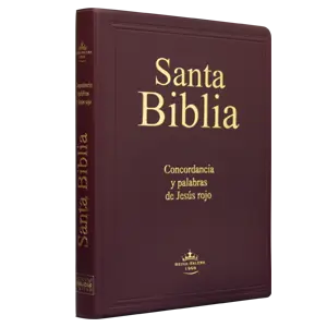 Biblia Reina Valera 1960 Grande Letra Gigante Vinil Vino [RVR082cLGIPJR]
