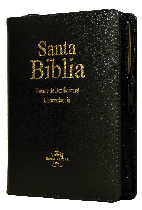 Biblia Fuente de Bendiciones Reina Valera 1960 Chica Letra Mediana Imitación Piel Negro [RVR046cLMFBZTIPU]