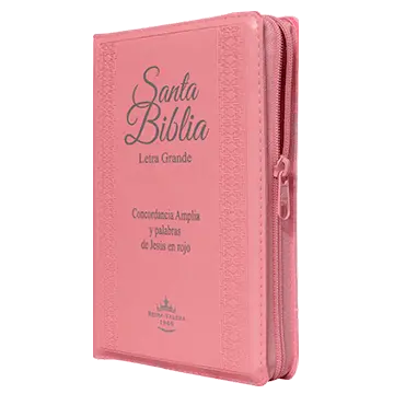 Biblia Reina Valera 1960 Mediana Letra Grande Imitación Piel Rosa [RVR056CLGPJRZTIPU]