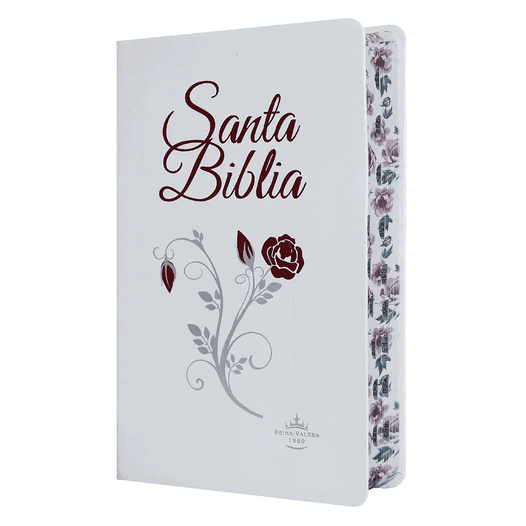 Biblia Reina Valera 1960 Mediana Letra Grande Piel Fabricada Blanco [RVR066cLGPJRTI]