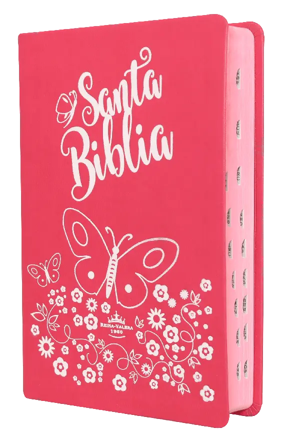 Biblia Reina Valera 1960 Mediana Letra Grande Imitación Piel Rosa [RVR066cLGPJRTIPU]