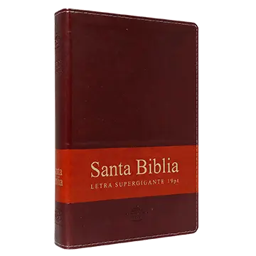 Biblia Reina Valera 1960 Grande Letra Supergigante Imitación Piel Marrón [RVR086cLSGiTIPJR]