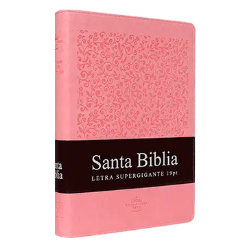 Biblia Reina Valera 1960 Grande Letra Supergigante Imitación Piel Rosa Indicadores [RVR086cLSGiTIPJR]