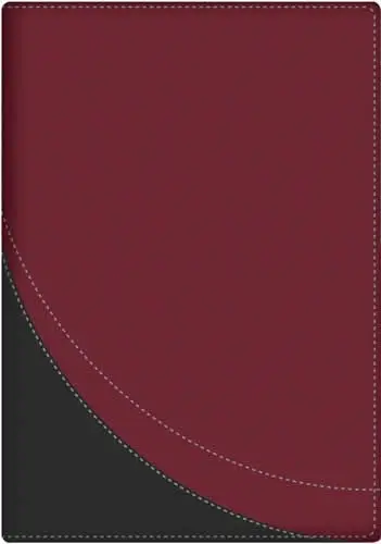 La Biblia en orden cronológico RVR60 - duotono