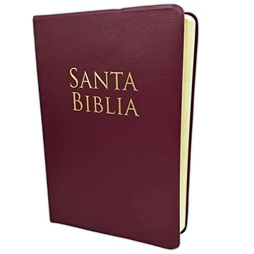 RVR 1960 Biblia Letra Grande Tamaño Manual Granate