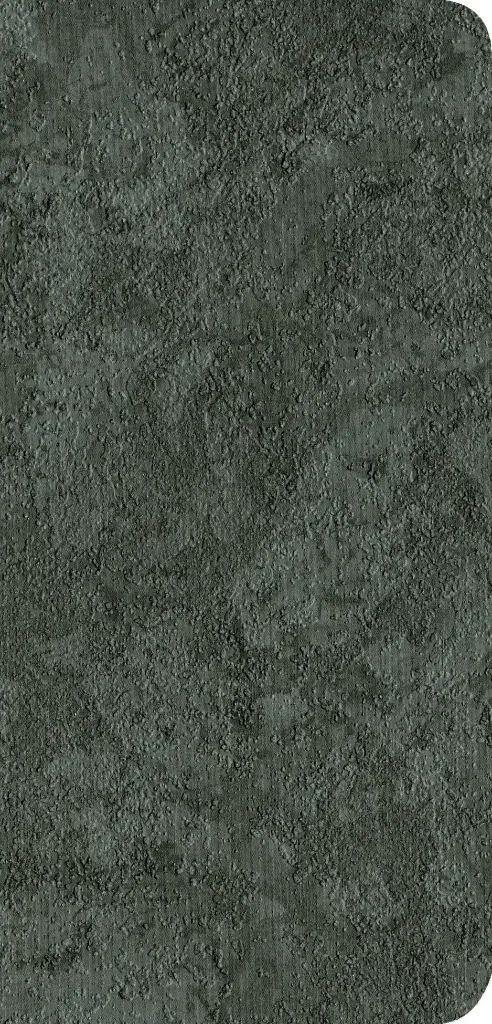 Nuevo Testamento con Salmos y Proverbios NTV, Edición bolsillo