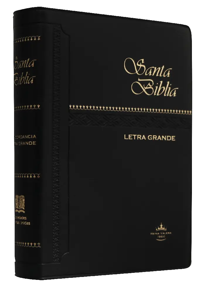 Biblia Reina Valera 1960 Chica Letra Grande Vinil Negro [RVR042cLG]