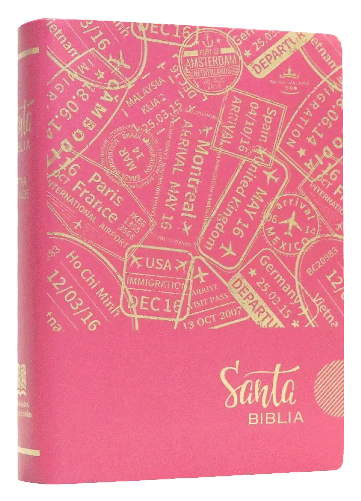 Biblia Reina Valera 1960 Chica Letra Mediana Vinil Rosa [RVR042CLGTV]