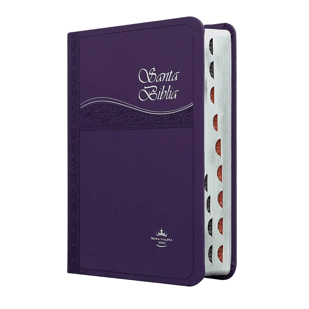 Biblia Reina Valera 1960 Chica Letra Mediana Imitación Piel Morado [RVR045cLGTI]