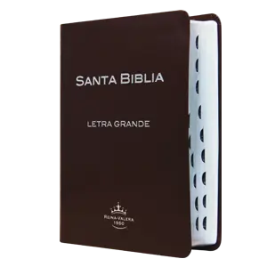 Biblia Reina Valera 1960 Mediana Letra Grande Piel Fabricada Café [RVR057CTILGPJR]