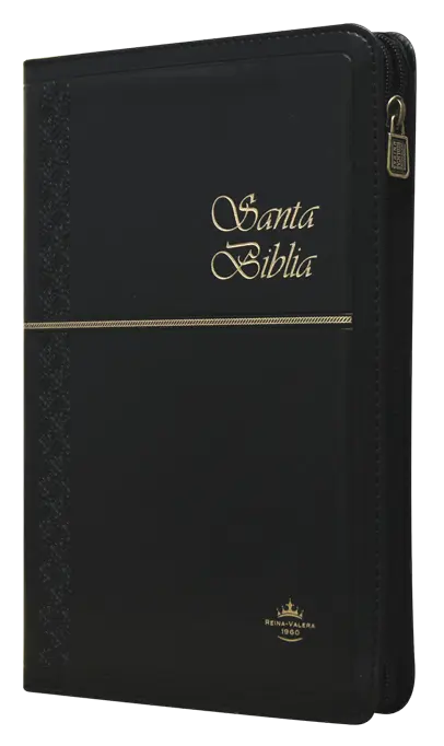 Biblia Reina Valera 1960 Mediana Letra Grande Imitación Piel Negro Ultrafina [RVR065czXTI]