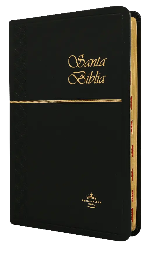 Biblia Reina Valera 1960 Mediana Letra Mediana Imitación Piel Negro Ultrafina [RVR065cXTI]
