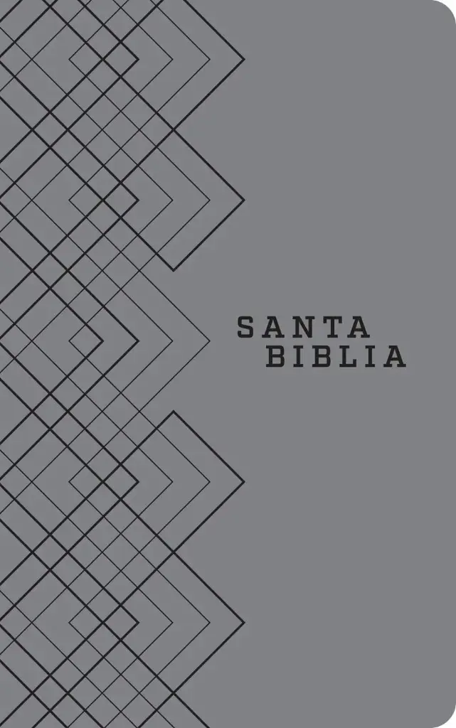 Santa Biblia NTV, Edición ágape, Gris