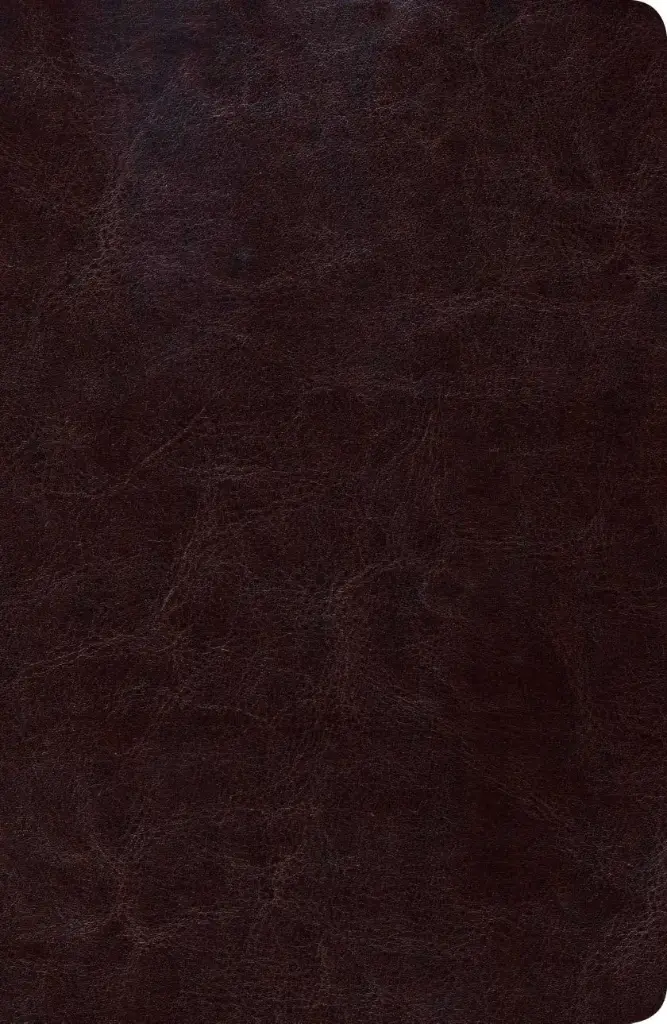 RVR 1960 Biblia de Estudio Scofield Tamano Personal, chocolate oscuro símil piel