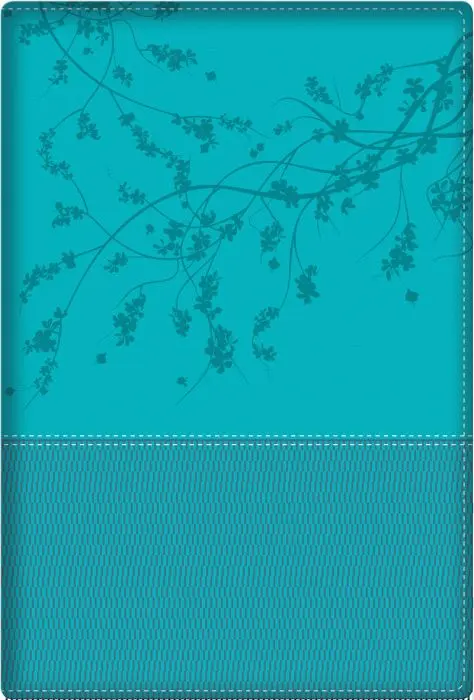 Biblia de la mujer conforme al corazón de Dios RVR60 - Aqua