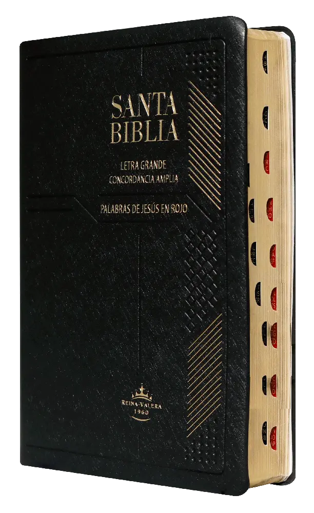 Biblia Reina Valera 1960 Mediana Letra Grande Vinil Negro [RVR052CLGPJRTI]