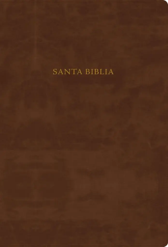 RVR 1960 Biblia de estudio Scofield, chocolate imitación piel