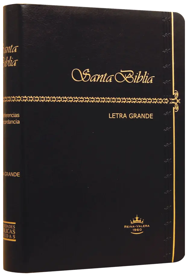 Biblia Reina Valera 1960 Mediana Letra Grande Imitación Piel Negro [RVR065CLG]
