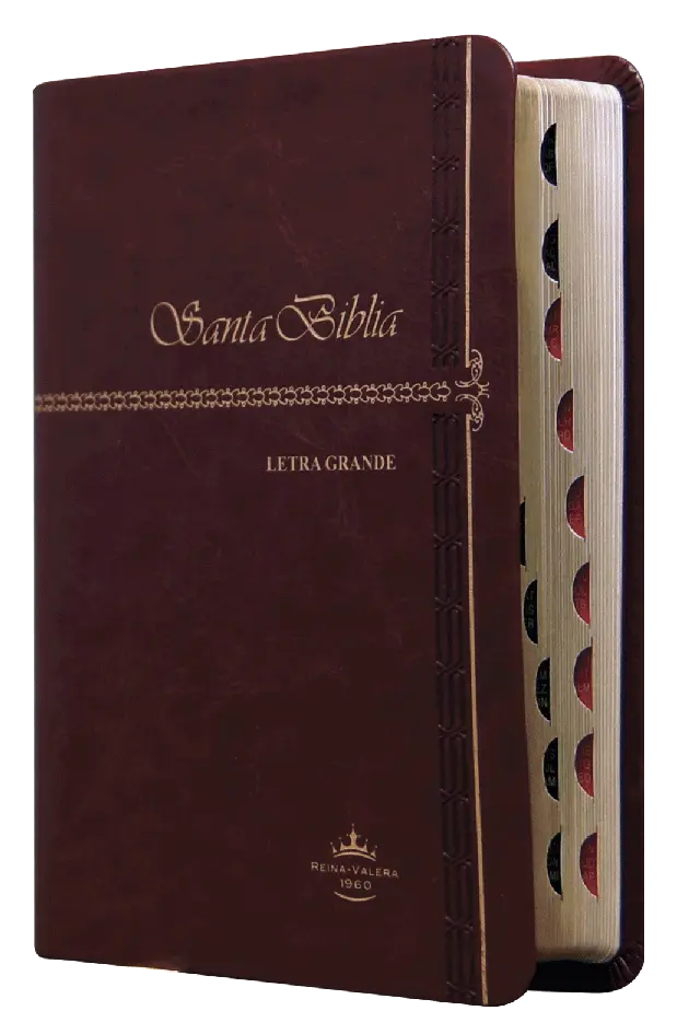 Biblia Reina Valera 1960 Chica Letra Mediana Imitación Piel Vino [RVR045cLGTI]