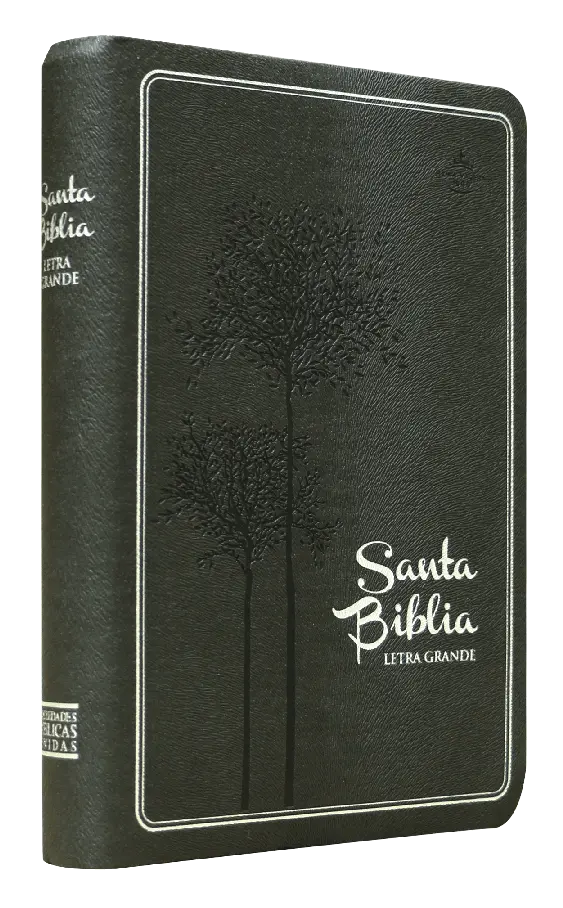 Biblia Reina Valera 1960 Mediana Letra Grande Imitación Piel Gris [RVR065LGTR]