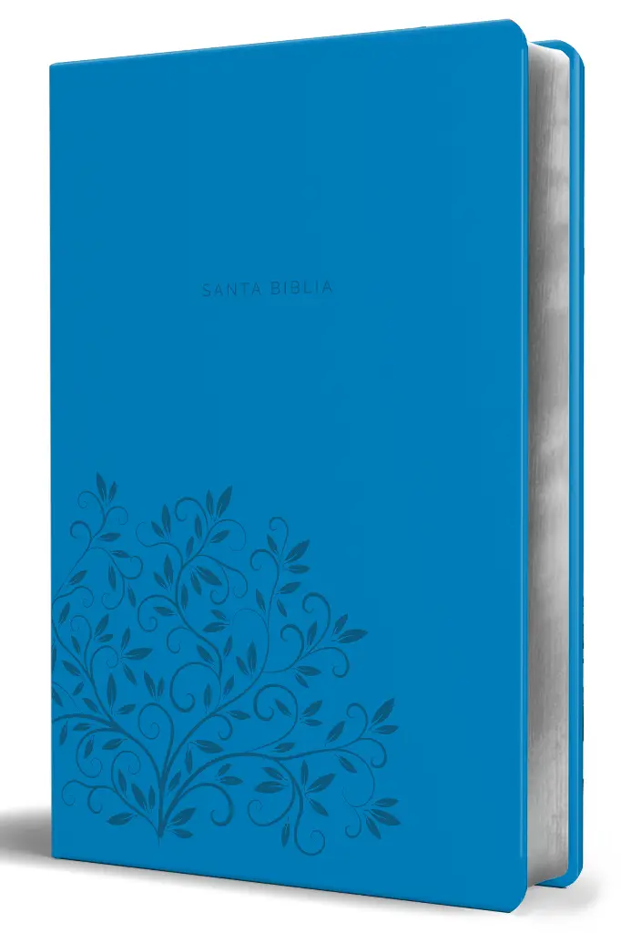 Biblia Reina Valera 1960 letra grande. Símil piel azul, tamaño manual