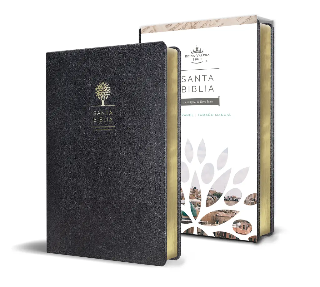 Biblia Reina Valera 1960 letra grande. Símil piel color negro, tamaño manual