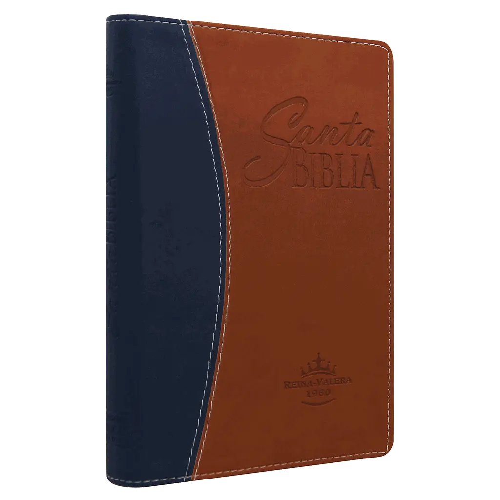 Biblia Reina Valera 1960 Mediana Letra Grande Imitación Piel Azul/Marrón [RVR065cLGPJR]