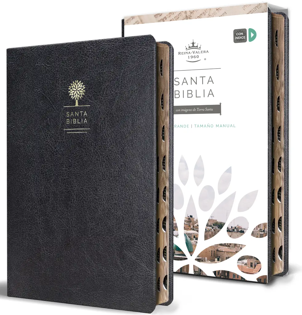 Biblia Reina Valera 1960 letra grande. Símil piel negro, índice, tamaño manual