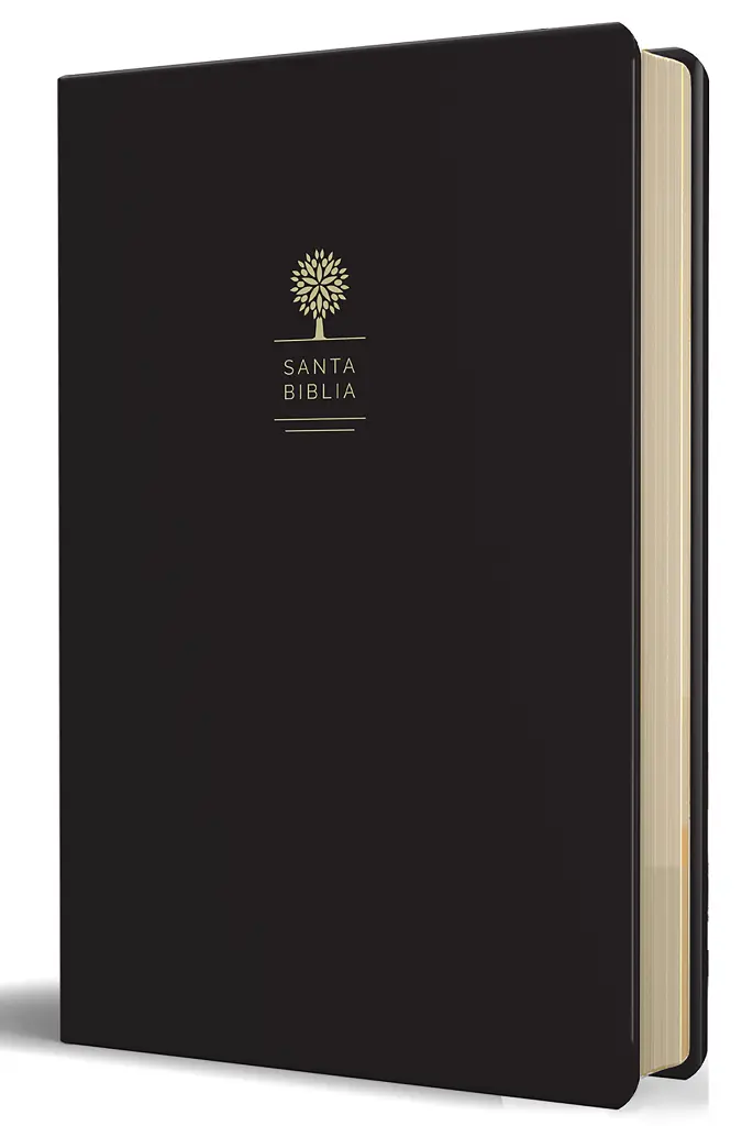 Biblia Reina Valera 1960 letra grande en caja de regalo. Símil piel, dos tonos, fotos de Tierra Santa