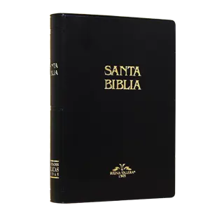 Biblia Reina Valera 1909 Mediana Letra Mediana Vinil Negro [VR052]