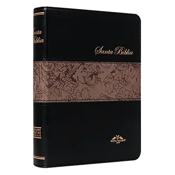 Biblia Reina Valera 1909 Mediana Letra Mediana Imitación Piel Negro [VR055TI]